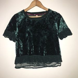 Velvet crop top NWOT